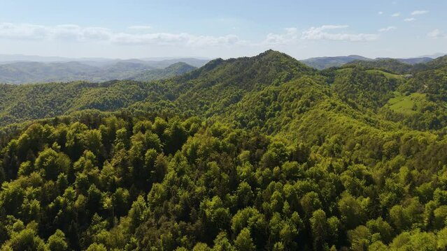 Aerial drone shot, flying over forest covered range in Slovenia. Flying over green forests. Flight over tree canopies, 4K