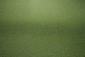 green leather texture