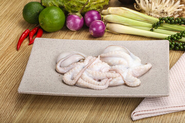 Delicous fresh raw uncooked octopus