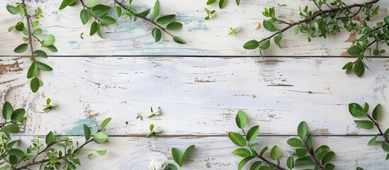 A top-down view of a weathered white wooden surface with green leaves, providing space for text. Spring branches arranged on a worn background, creating a flat lay composition.