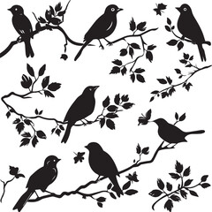 birds on tree