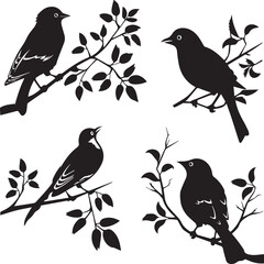 pattern with birds
