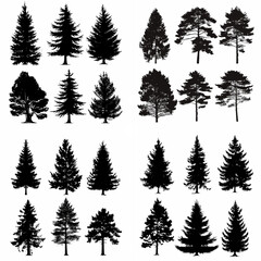 black tree silhouette set pure badge eco outline recreation breath emblem label protection graphic pine trunk woodland