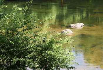 Ripples and Reflections at Picturesque Green Shaded River