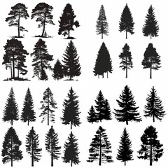 Obraz premium black tree silhouette set pure badge eco outline recreation breath emblem label protection graphic pine trunk woodland