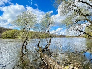 Beautiful spring landscape. Trees on the banks of the Pekhorka River in Balashikha