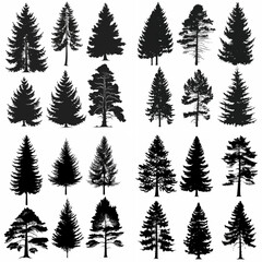 black tree silhouette set pure badge eco outline recreation breath emblem label protection graphic pine trunk woodland