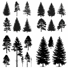 Fototapeta premium black tree silhouette set pure badge eco outline recreation breath emblem label protection graphic pine trunk woodland