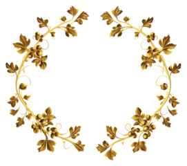 PNG  Grape vine gold jewelry white background.