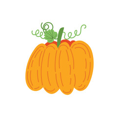 Pumpkin vector illustration in a cute cartoon style. Thanksgiving fall pumpkin vector.