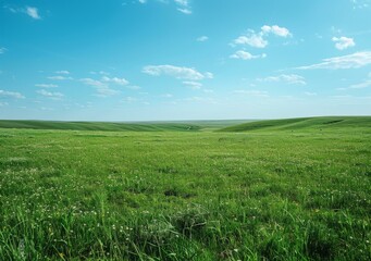 Fototapeta premium Grassland under blue sky