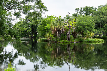 New Orleans Louisiana City Park Features