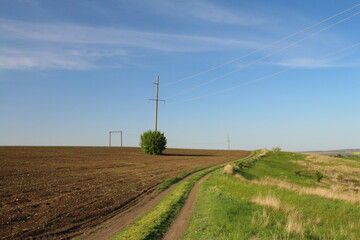 A dirt road with power lines with Codrington Wind Farm in the background