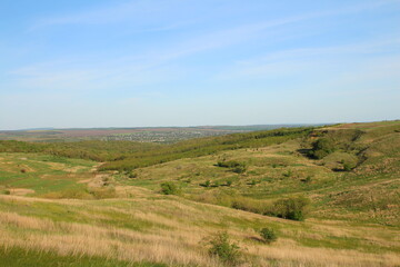 A grassy field with trees