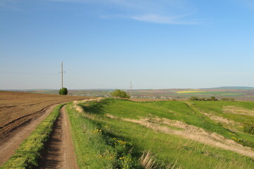 A dirt road with grass and a power line in the distance