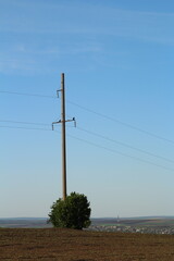 A tree in a field with Inco Superstack in the background