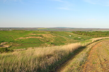 A grassy field with a blue sky