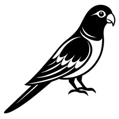 illustration of a bird
