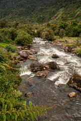 Naklejka na ściany i meble Río Oyacachi en la provincia de Napo, Napo Galeras reserva