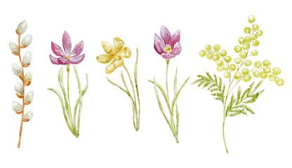 Obraz na płótnie Canvas Set of Watercolor Spring Flowers. Illustration.