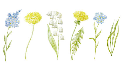 Obraz premium Set of Watercolor Spring Flowers. Illustration.