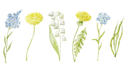 Set of Watercolor Spring Flowers. Illustration.