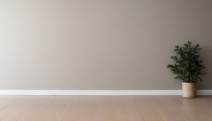 Simple and Serene:
 Empty Room Interior with Lush Potted Plant