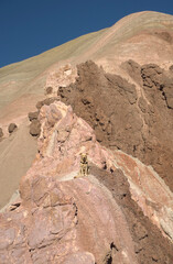 dog posing on a mountain of seven colors
