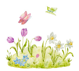 Watercolor Illustration of Spring Flowerbed.