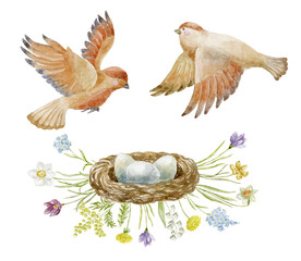 Watercolor Illustration of Sparrows with Floral Nest.