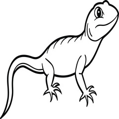 Obraz premium Lizard coloring pages. Lizard animal outline. Reptile line art