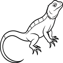 Fototapeta premium Lizard coloring pages. Lizard animal outline. Reptile line art
