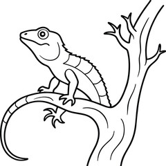 Lizard coloring pages. Lizard animal outline. Reptile line art