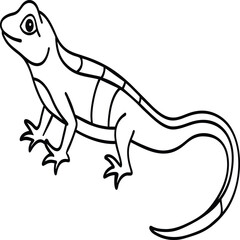 Lizard coloring pages. Lizard animal outline. Reptile line art