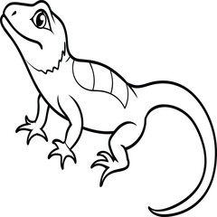 Lizard coloring pages. Lizard animal outline. Reptile line art