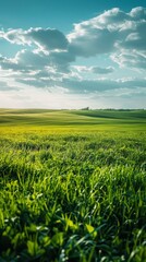 Green rolling hills under blue sky with white clouds
