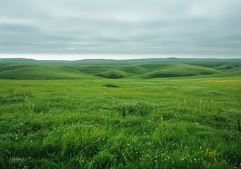 Fototapeta premium Green rolling hills under cloudy sky