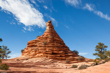 Ancient Rock Eroded into Unique Features at Zion National Park