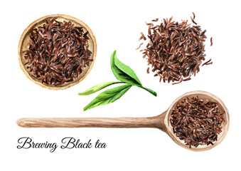 Black tea brewing set, top view.  Hand drawn watercolor illustration, isolated on white background