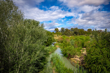 Riverside forest of the La Contraparada natural area in the heart of Murcia, Spain with lush vegetation and the Segura river in the background