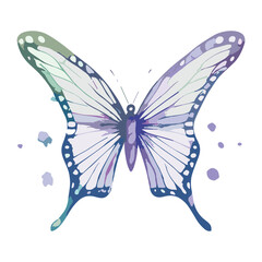 Watercolor butterfly vector illustration on white background.