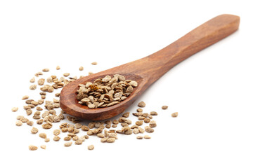 Front view of a wooden spoon filled with Organic Tomato (Solanum lycopersicum) seeds. Isolated on a white background.