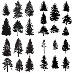 black tree silhouette set pure badge eco outline recreation breath emblem label protection graphic pine trunk woodland