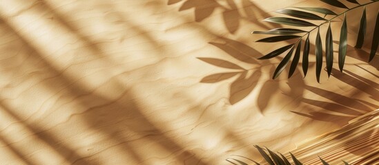 Top-down view of a wooden platform with leaf shadows against a beige backdrop. Ideal for displaying products, flat lay style, suitable for banners.