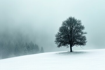 A Solitary Tree Stands in a Snowy Field - obrazy, fototapety, plakaty