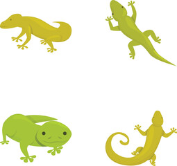Green gecko icons set cartoon vector. Cute cartoon exotic lizard. Animal, amphibian