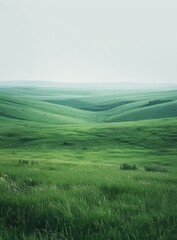 Picturesque green rolling hills under a white sky