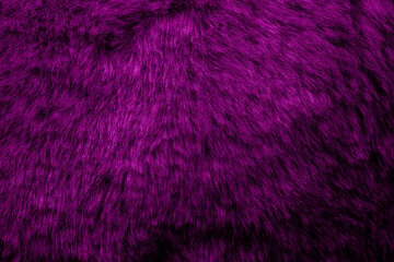 magenta velour plush cloth textured background