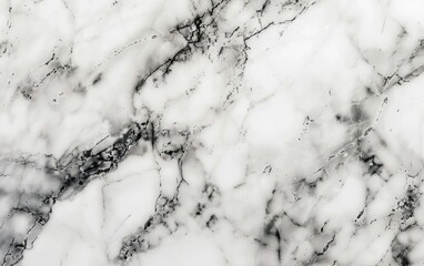 Elegant white marble texture with subtle veins and natural patterns.