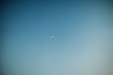 Fototapeta premium airplane in the sky